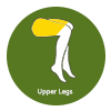 Upper Legs